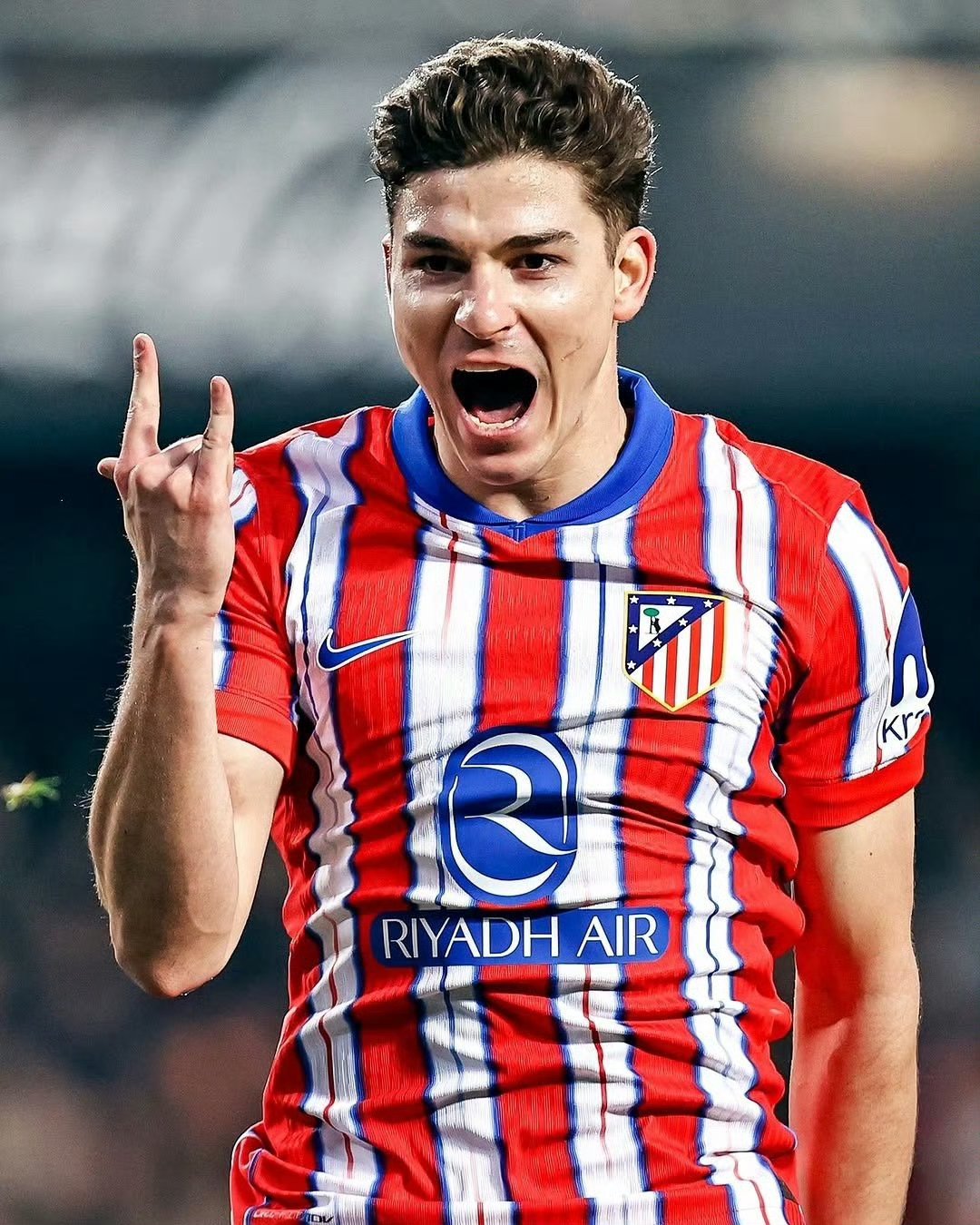 不莱梅再遇失利，保级形势严峻的简单介绍