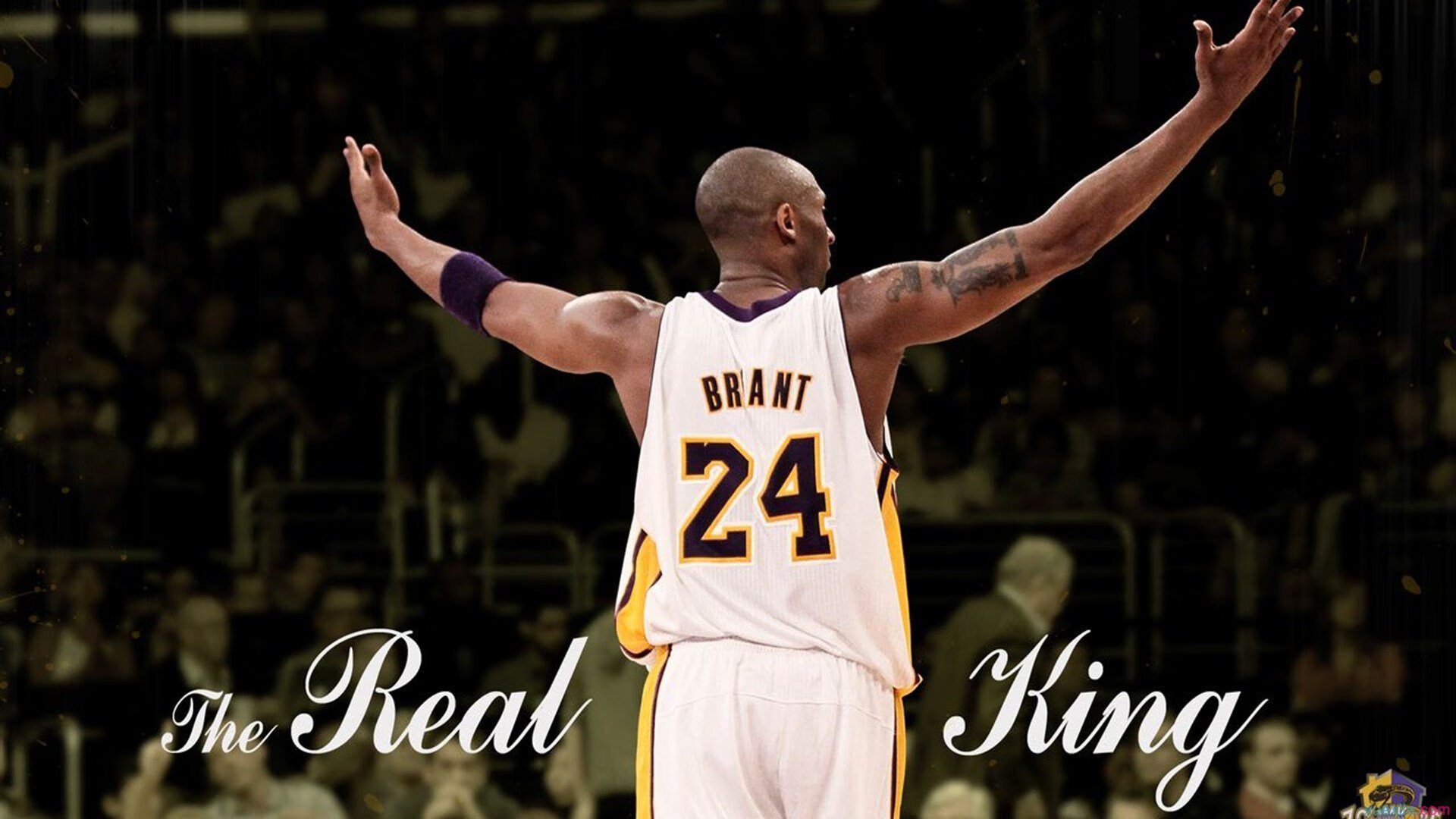 广厦铁壁封锁开拓者,布伦森三节打卡让悬念提前终结